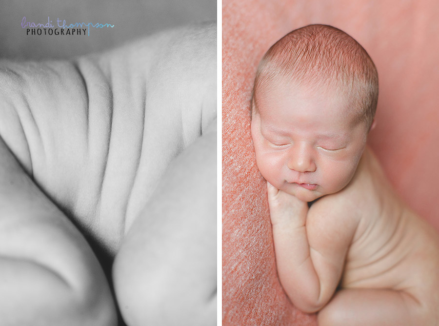 plano newborn photographer, frisco newborn photographer