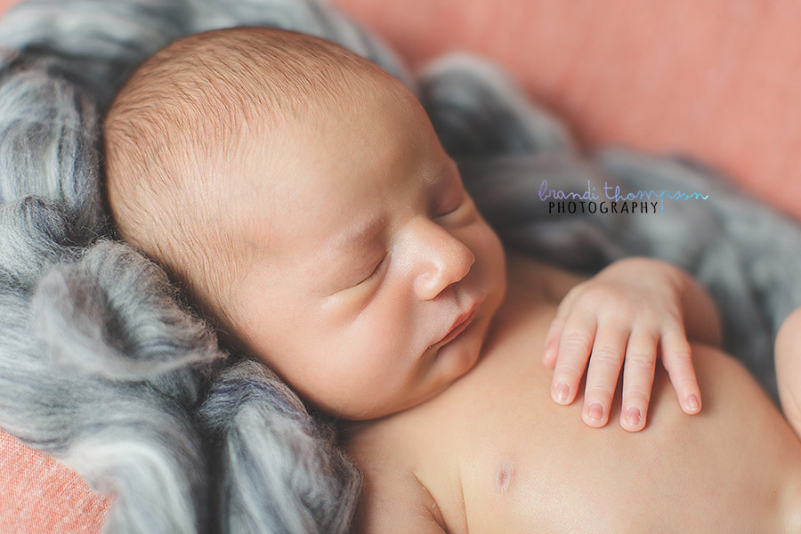 plano newborn photographer, frisco newborn photographer