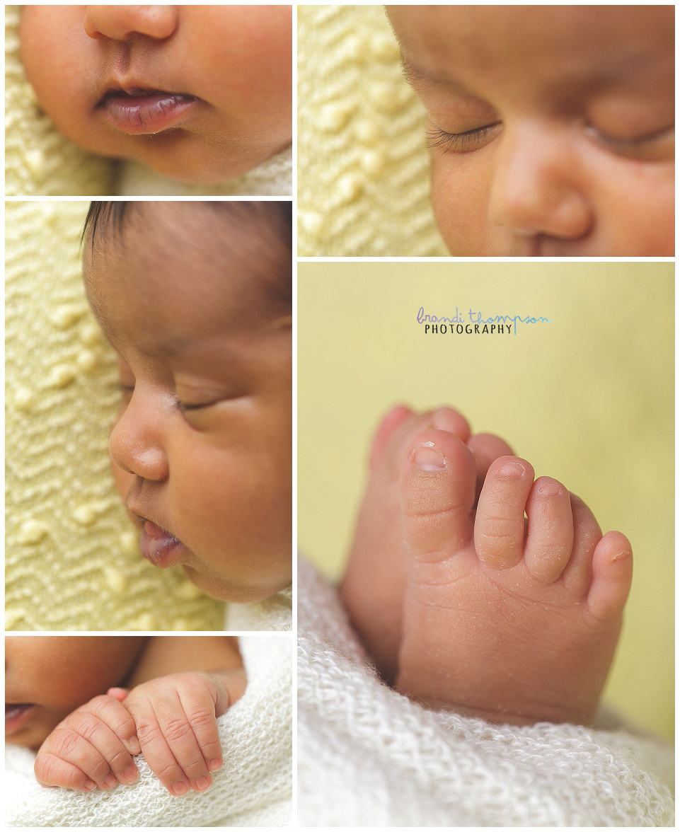 rainbow baby newborn photography session in plano, tx