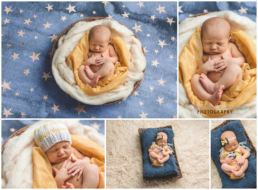 plano newborn photography studio