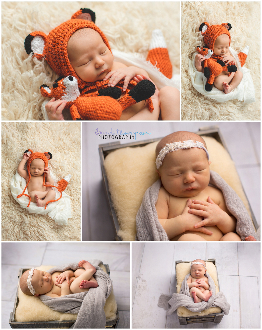 plano newborn photography studio