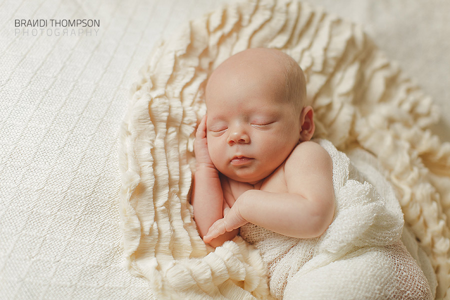 plano frisco twin newborn photography