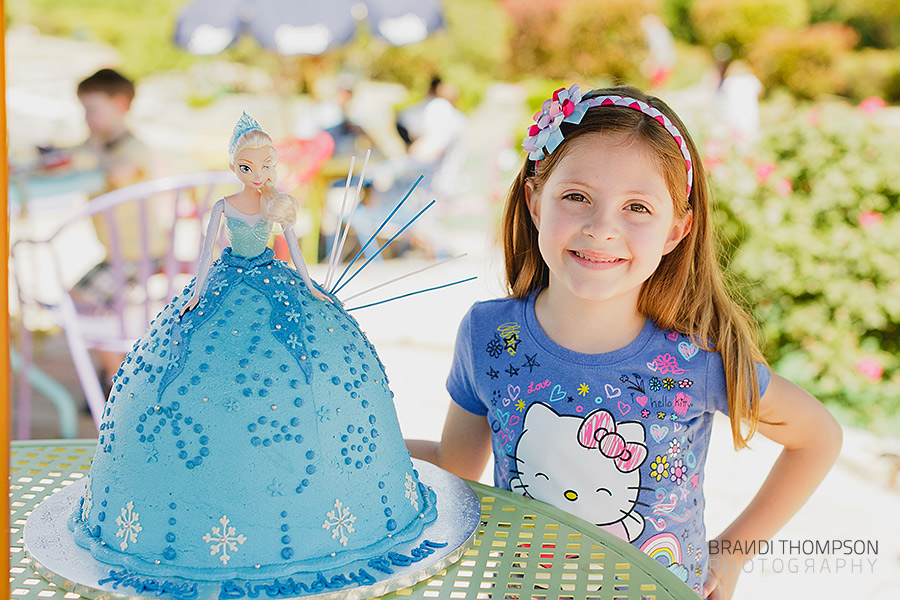 dallas birthday party photography, frozen birthday cake