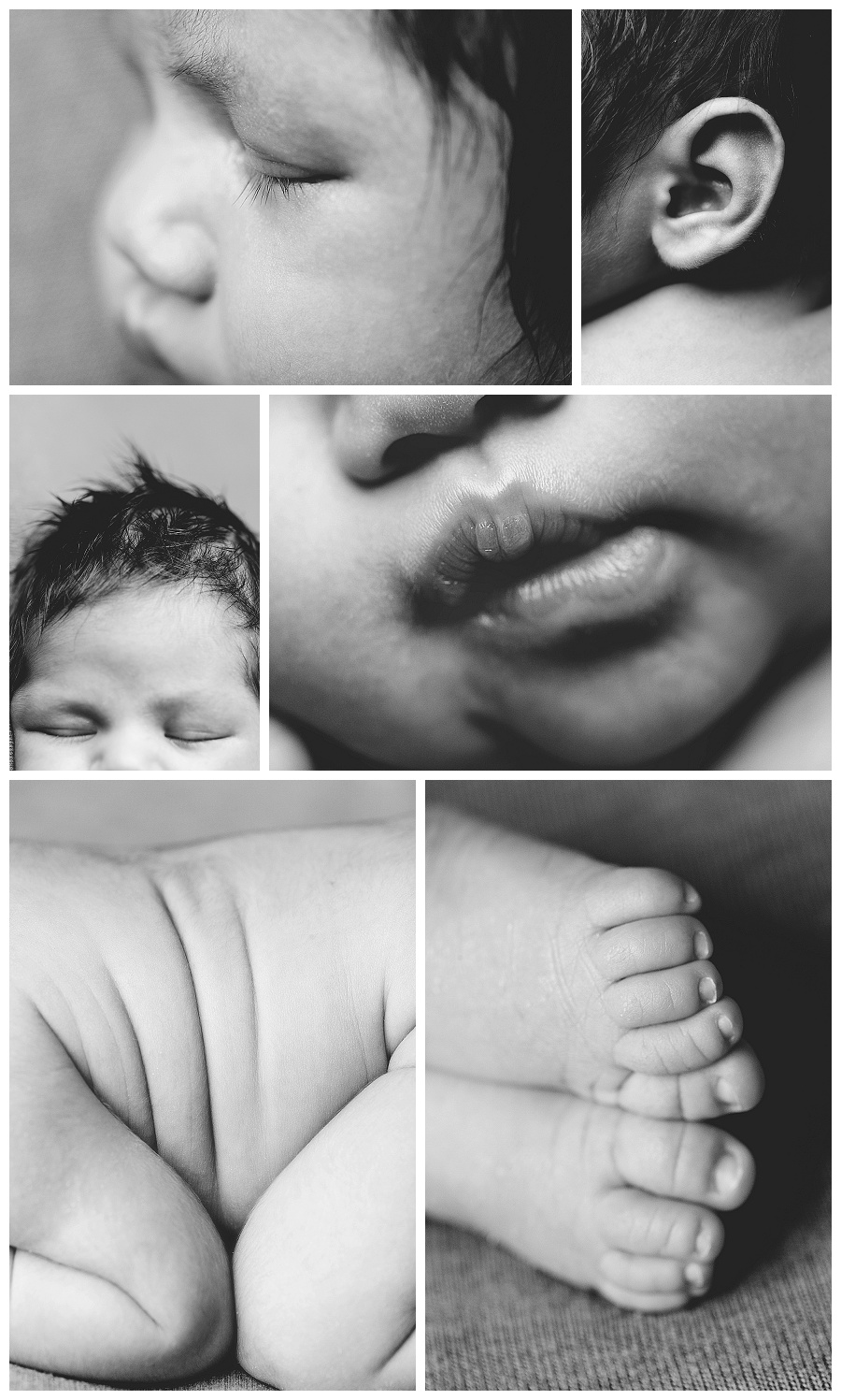 plano newborn photographer