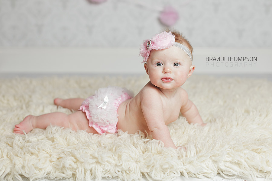 plano studio baby mini sessions