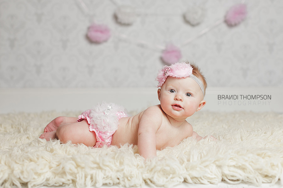 plano studio baby mini sessions