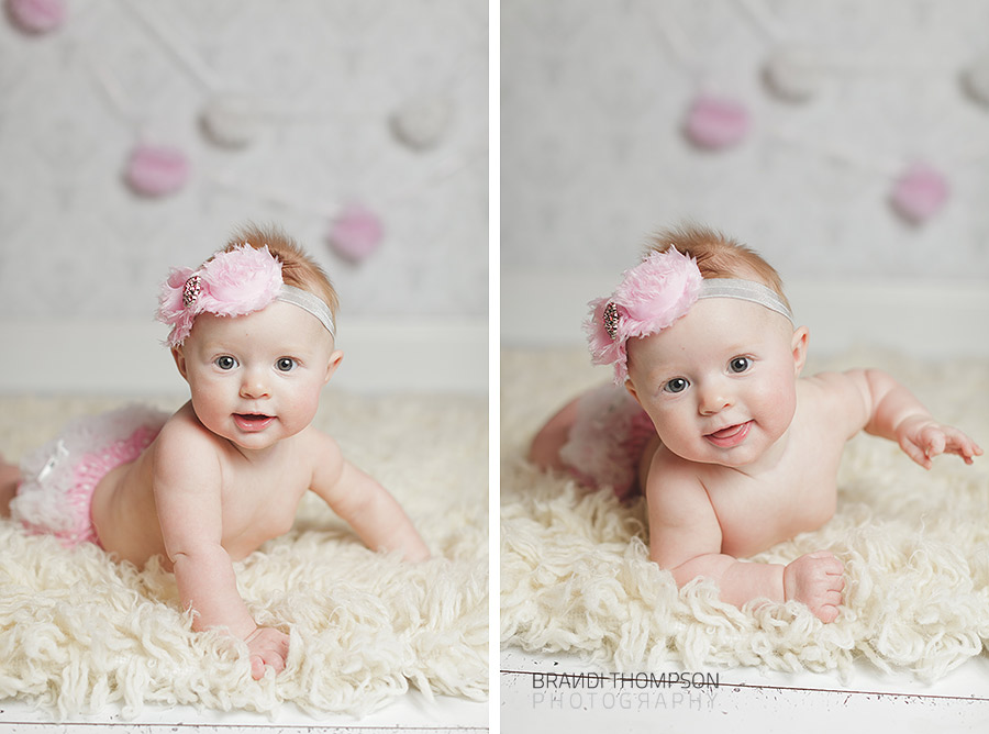 plano studio baby mini sessions