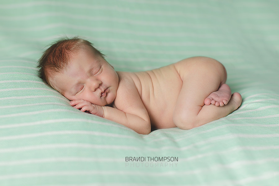 plano newborn photographer, frisco newborn photographer