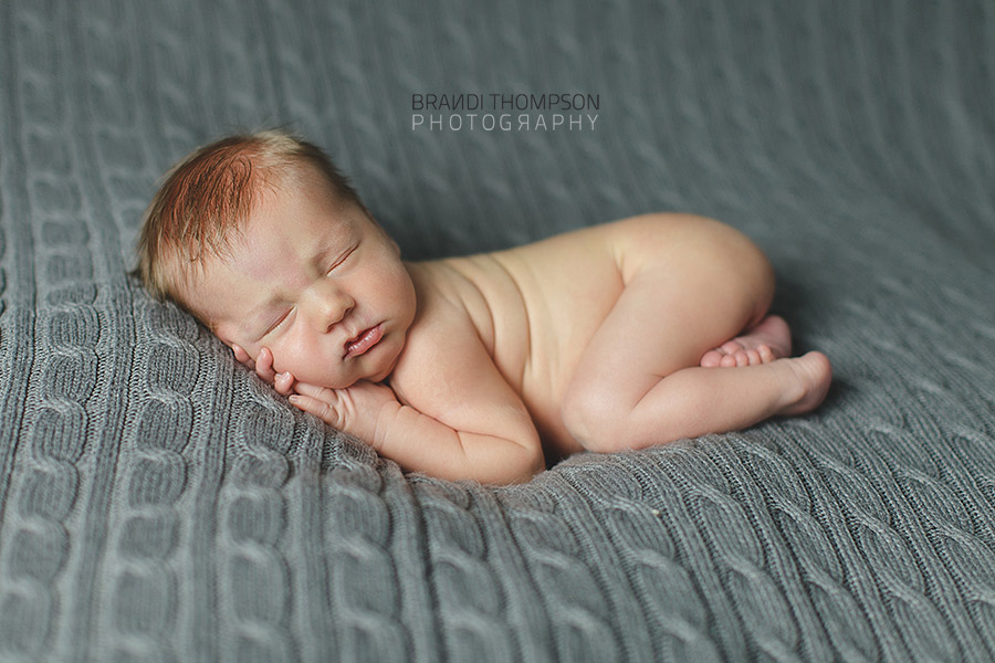 plano newborn photographer, frisco newborn photographer