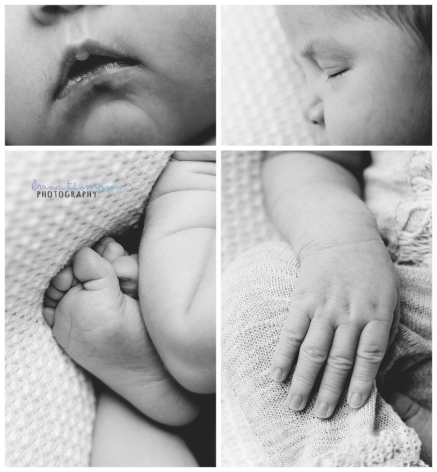 plano newborn photographer