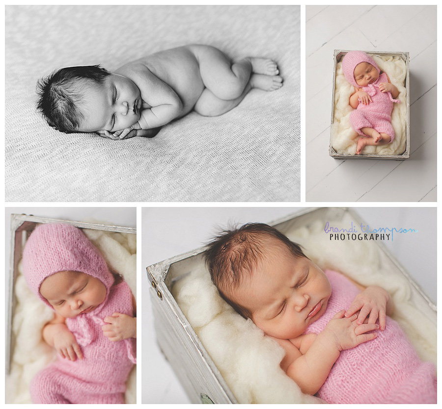 plano newborn photographer