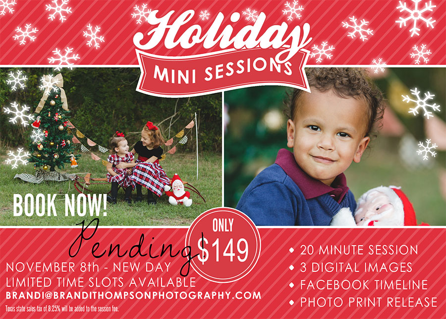 2014 Plano holiday christmas mini sessions