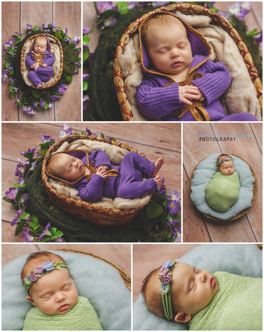 plano newborn photography studio