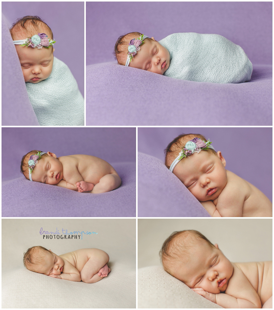 plano newborn photography studio