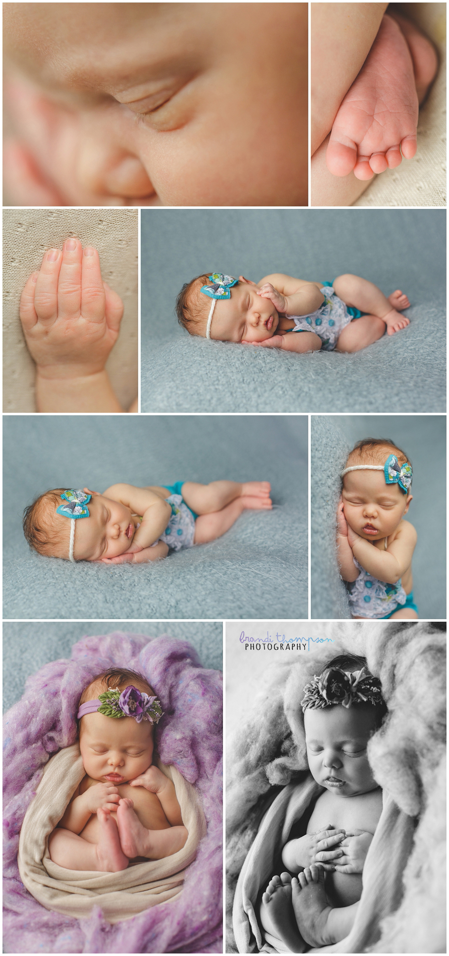 plano newborn photography studio