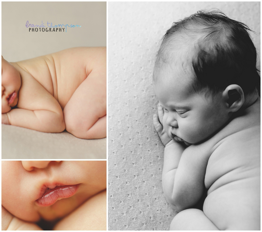 plano newborn photography studio