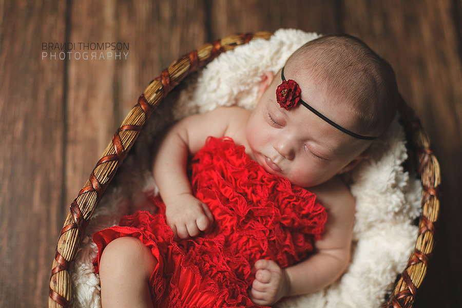 plano newborn photographer, plano baby photographer