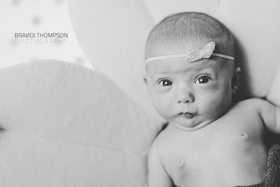 plano newborn photographer, plano baby photographer