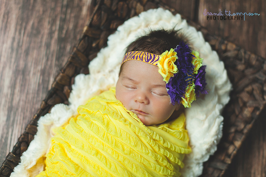 plano newborn photogrpaher, frisco newborn photographer