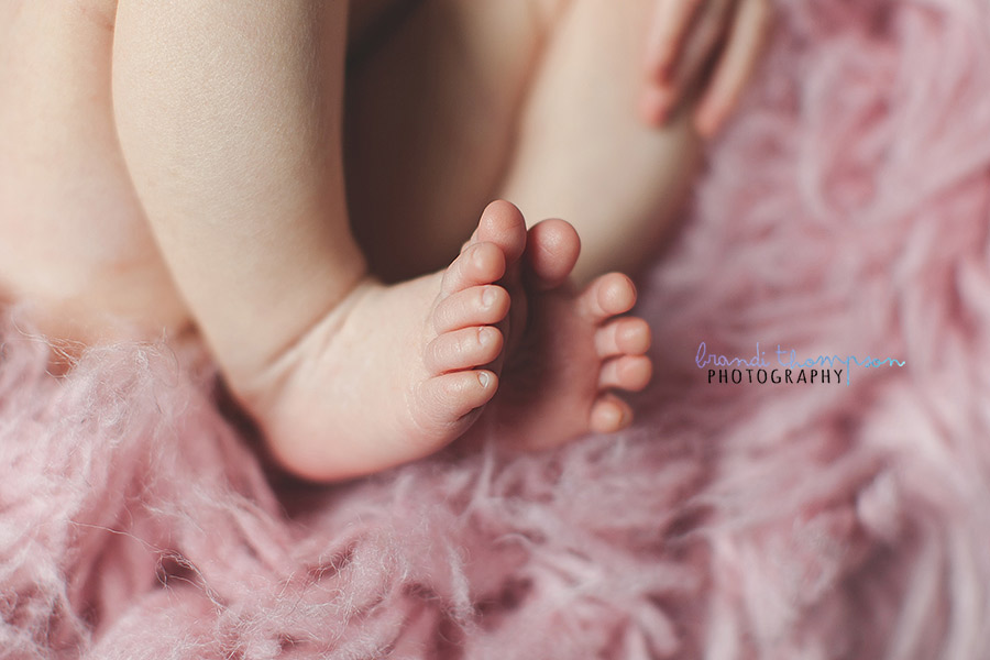 plano newborn photogrpaher, frisco newborn photographer