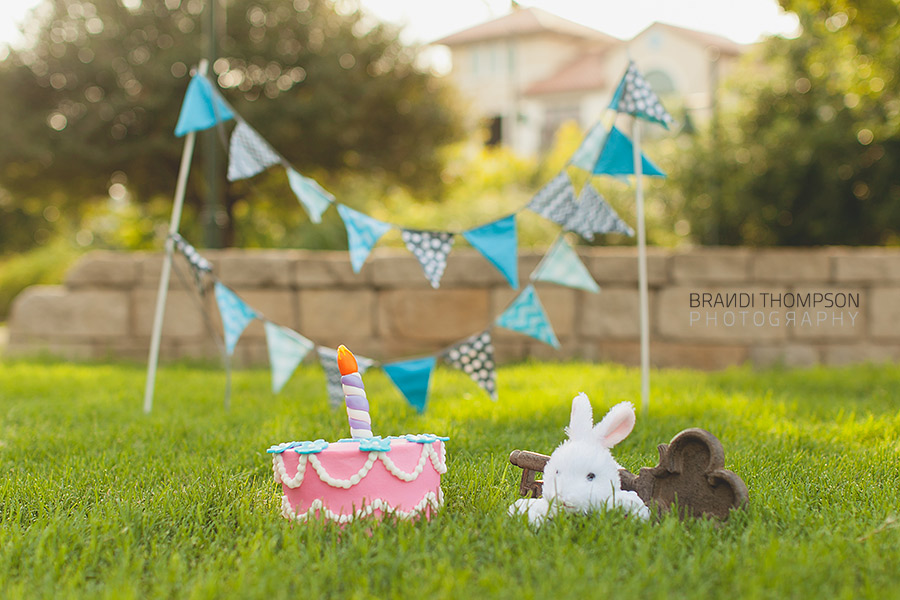 plano frisco mini session, cake smash, alice in wonderland