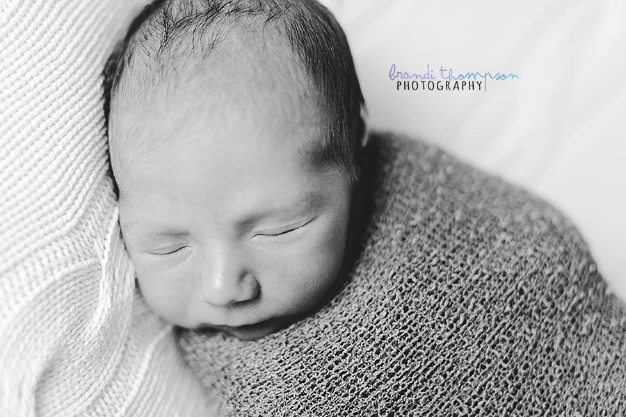 plano newborn photographer, frisco newborn photographer