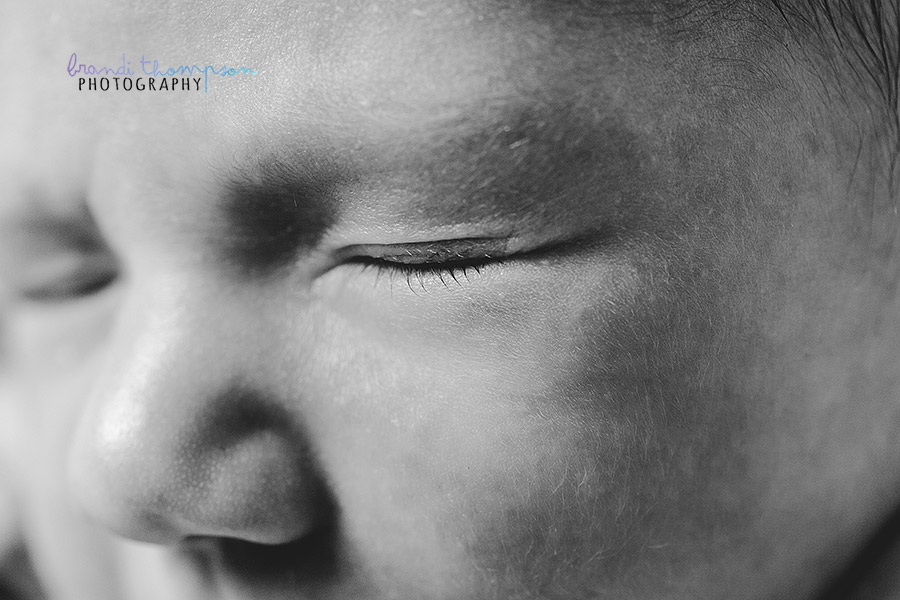 plano newborn photographer, frisco newborn photographer