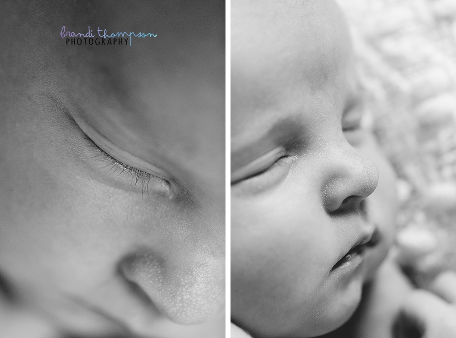 plano newborn photographer