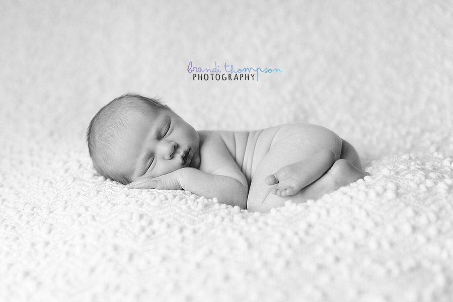 plano newborn photographer, richardson newborn photographer