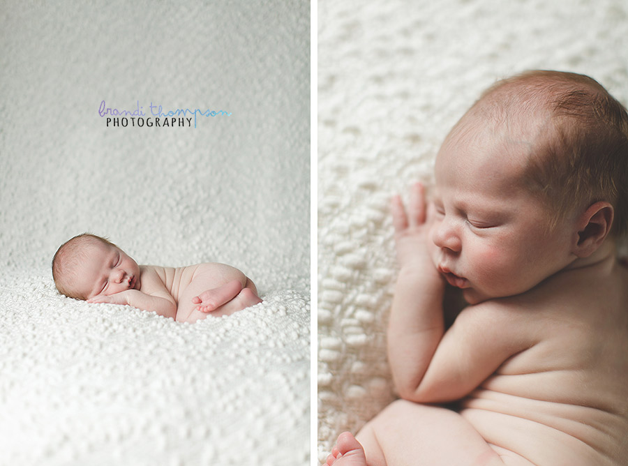 plano newborn photographer, richardson newborn photographer