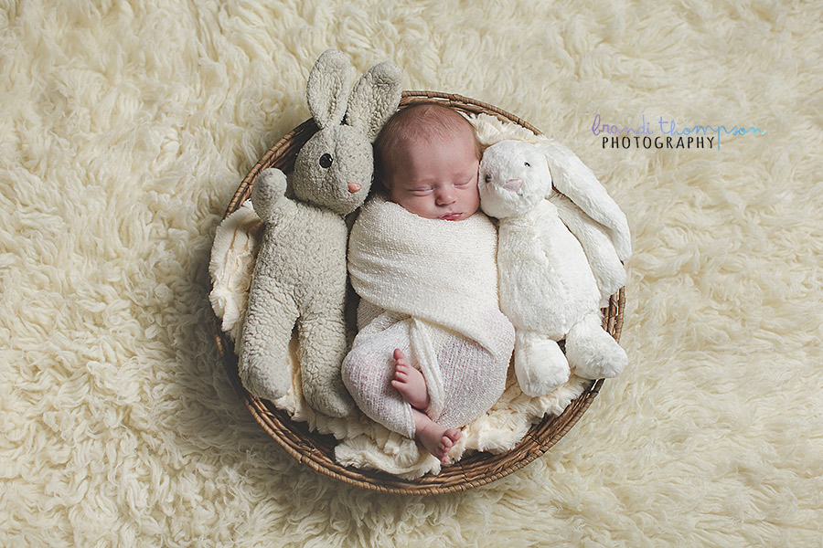 plano newborn photographer, richardson newborn photographer