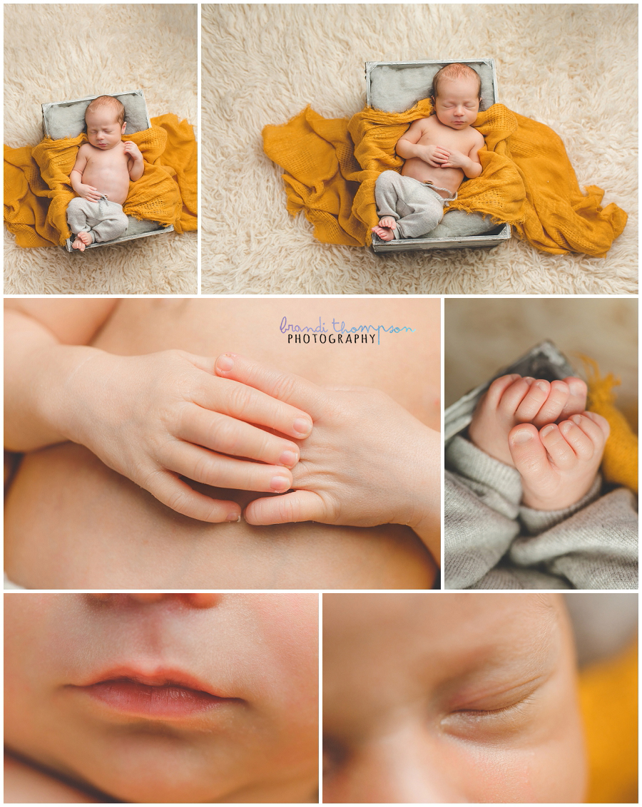 plano twin newborn photographer, dallas newborn photographer