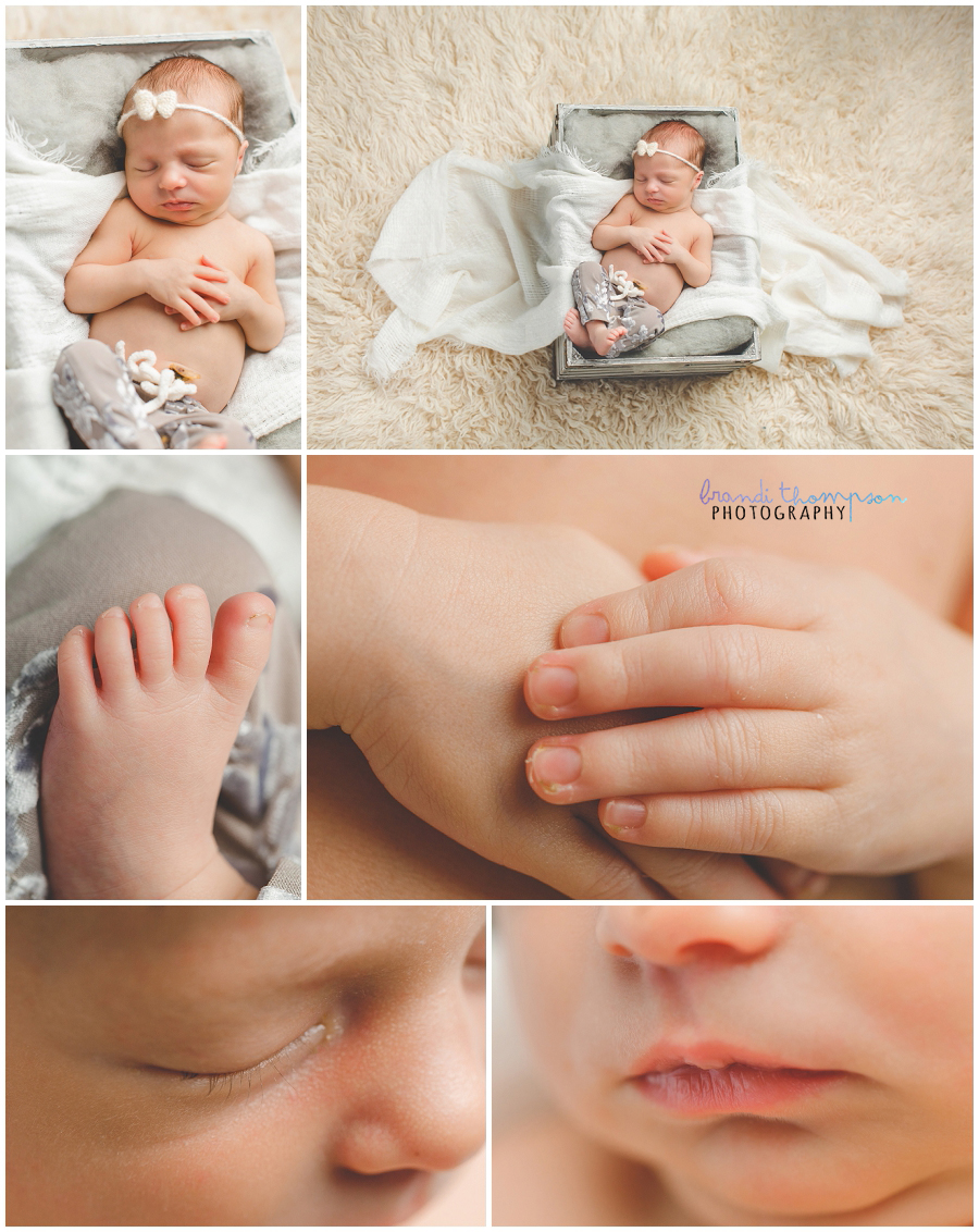 plano twin newborn photographer, dallas newborn photographer