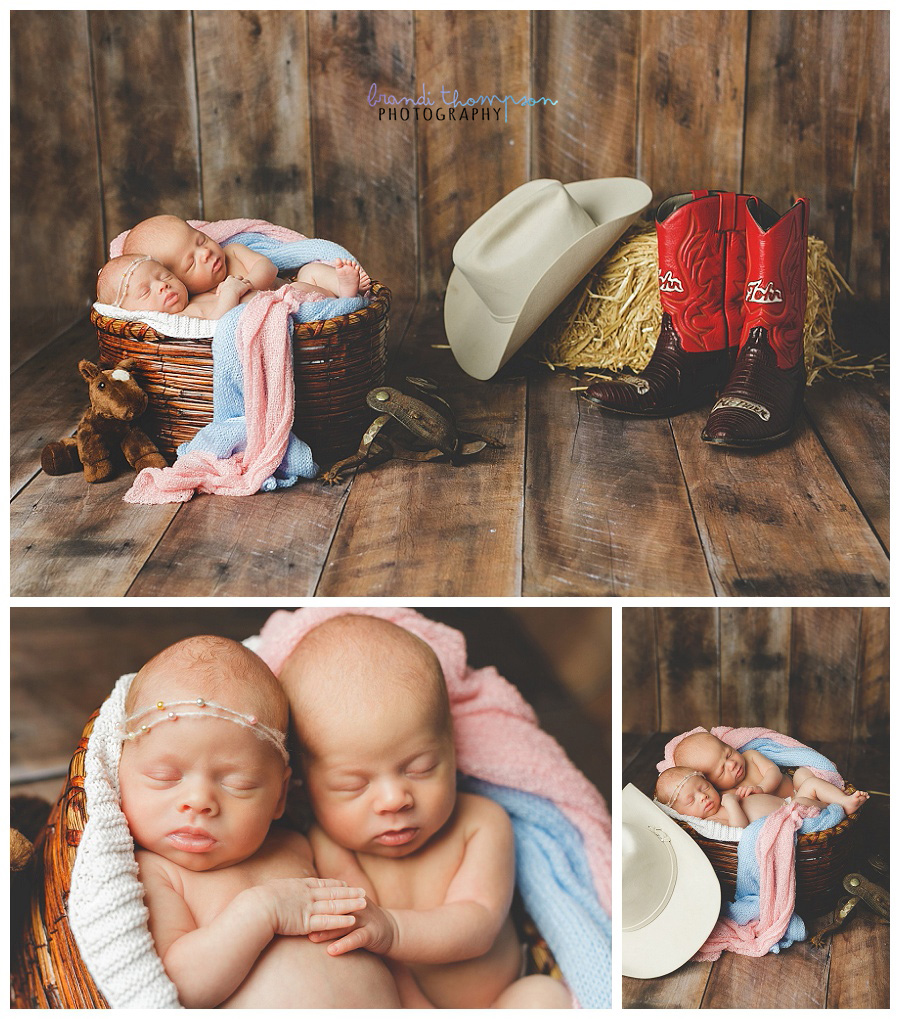 plano twin photographer, twin newborns