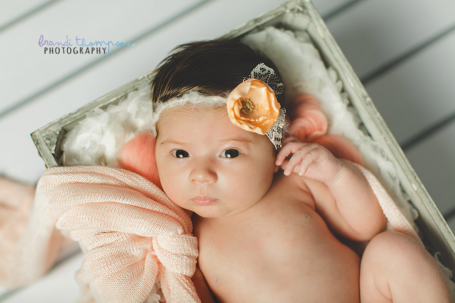 plano newborn photographer, frisco newborn photographer