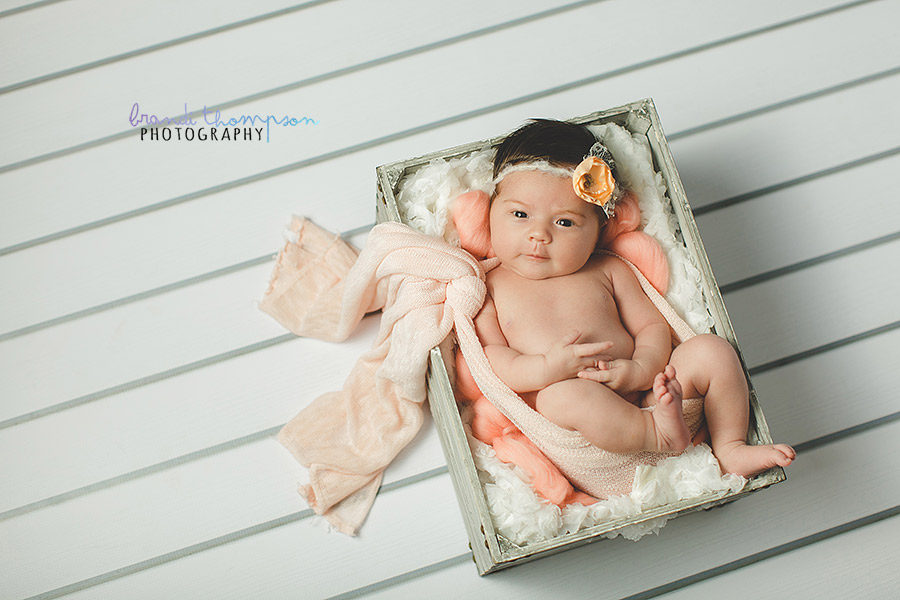 plano newborn photographer, frisco newborn photographer