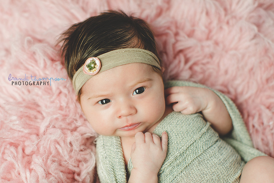 plano newborn photographer, frisco newborn photographer