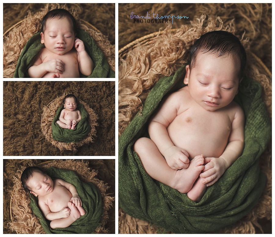 plano newborn photography