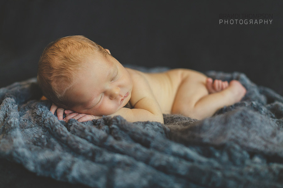 plano newborn photographer