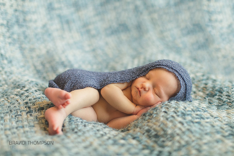 plano newborn photographer