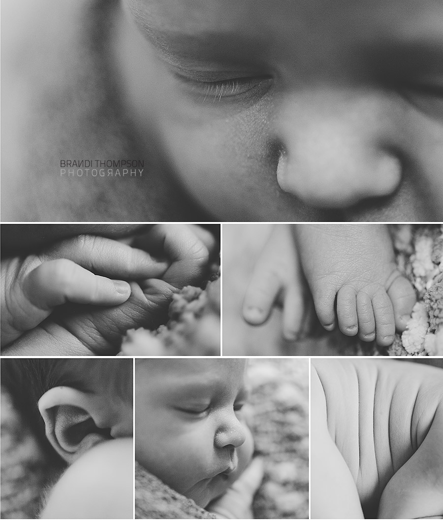 plano newborn photographer