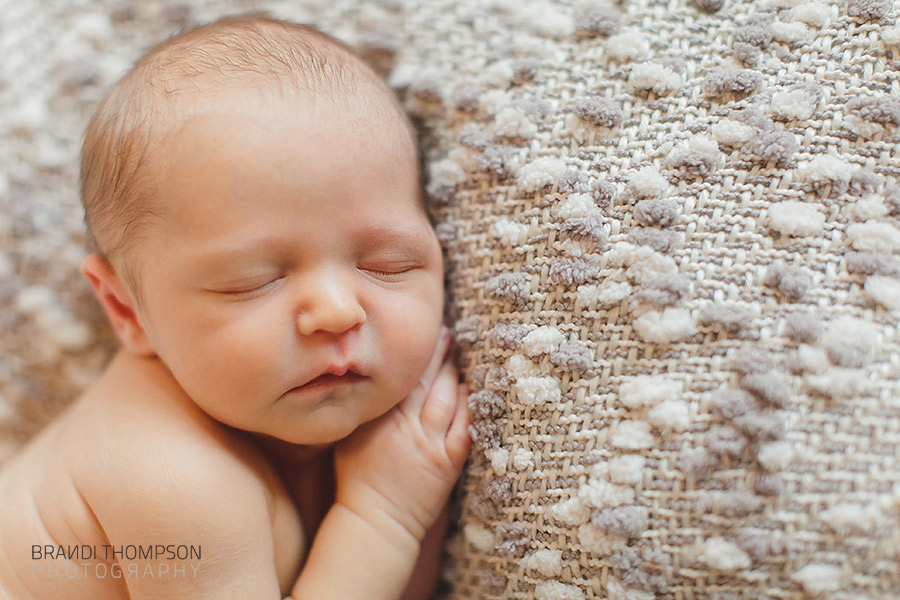 plano newborn photographer