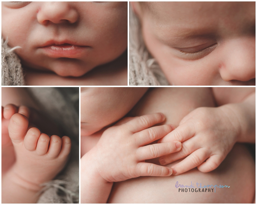 plano newborn photography studio