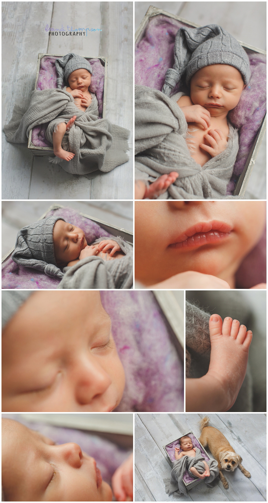 plano newborn photography in studio
