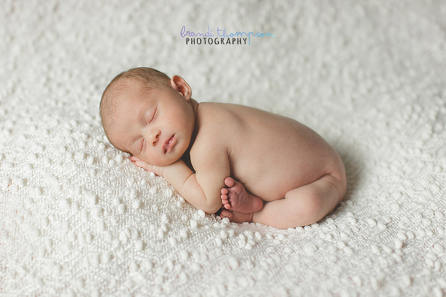 plano newborn photographer