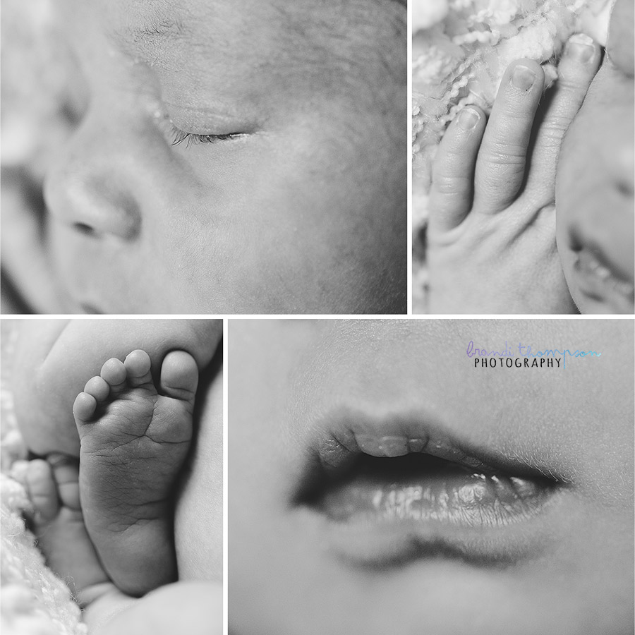 plano newborn photographer