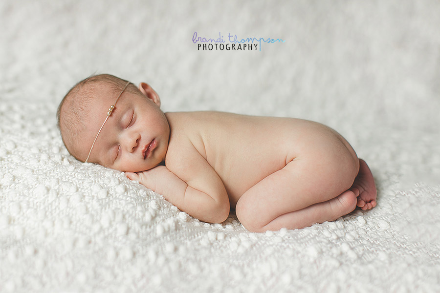 plano newborn photographer