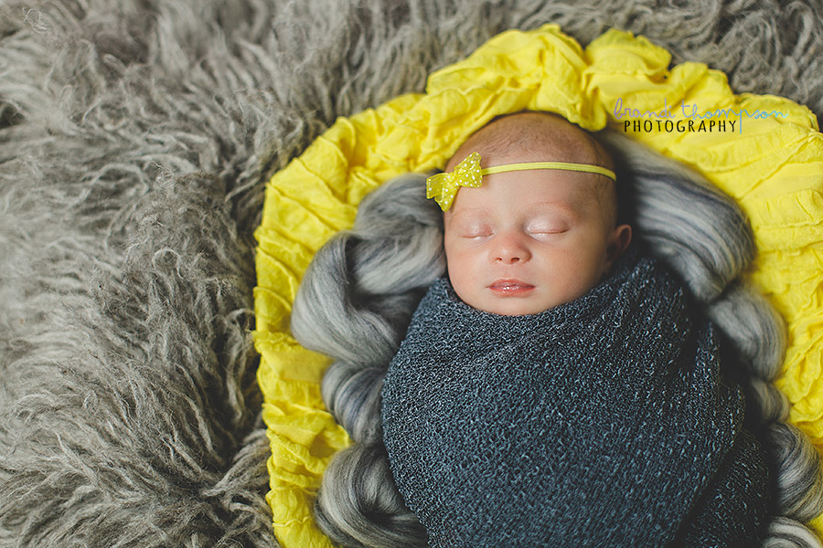 plano newborn photographer