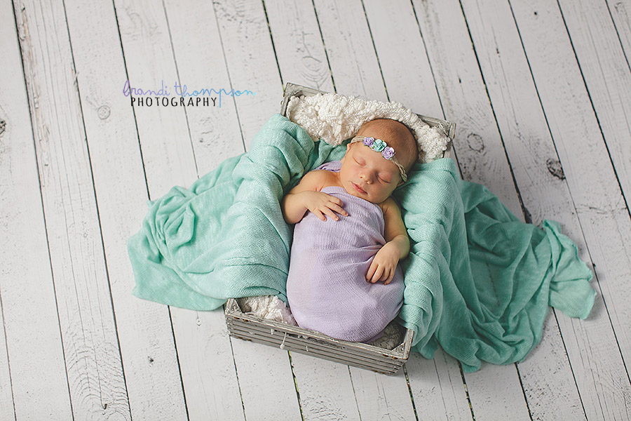 plano newborn photographer