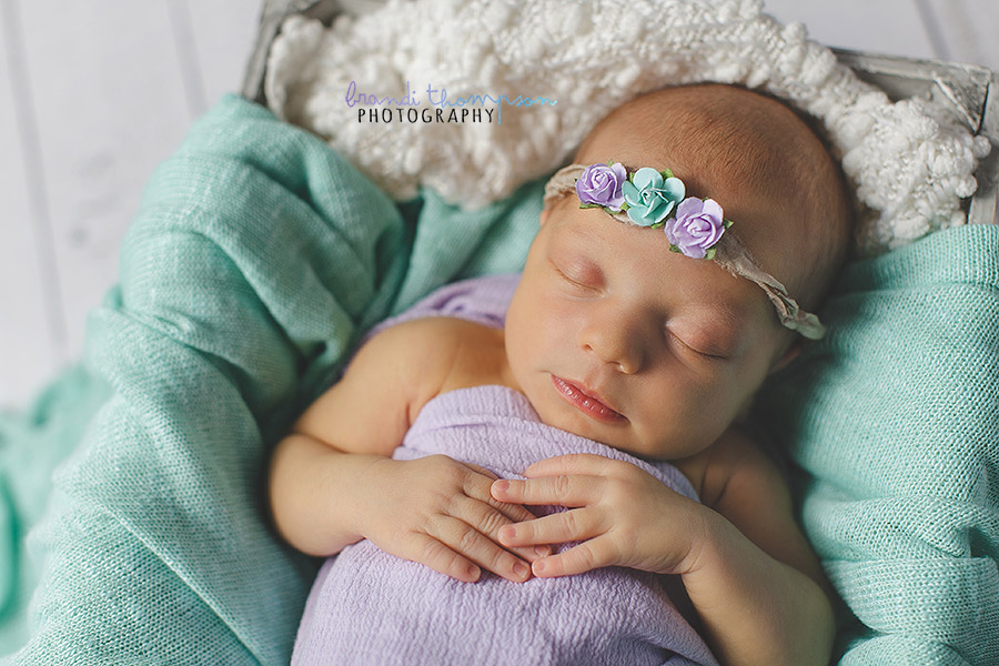 plano newborn photographer